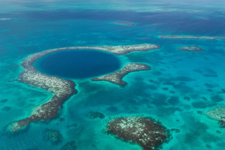 aerial view of coral reefs in the sea